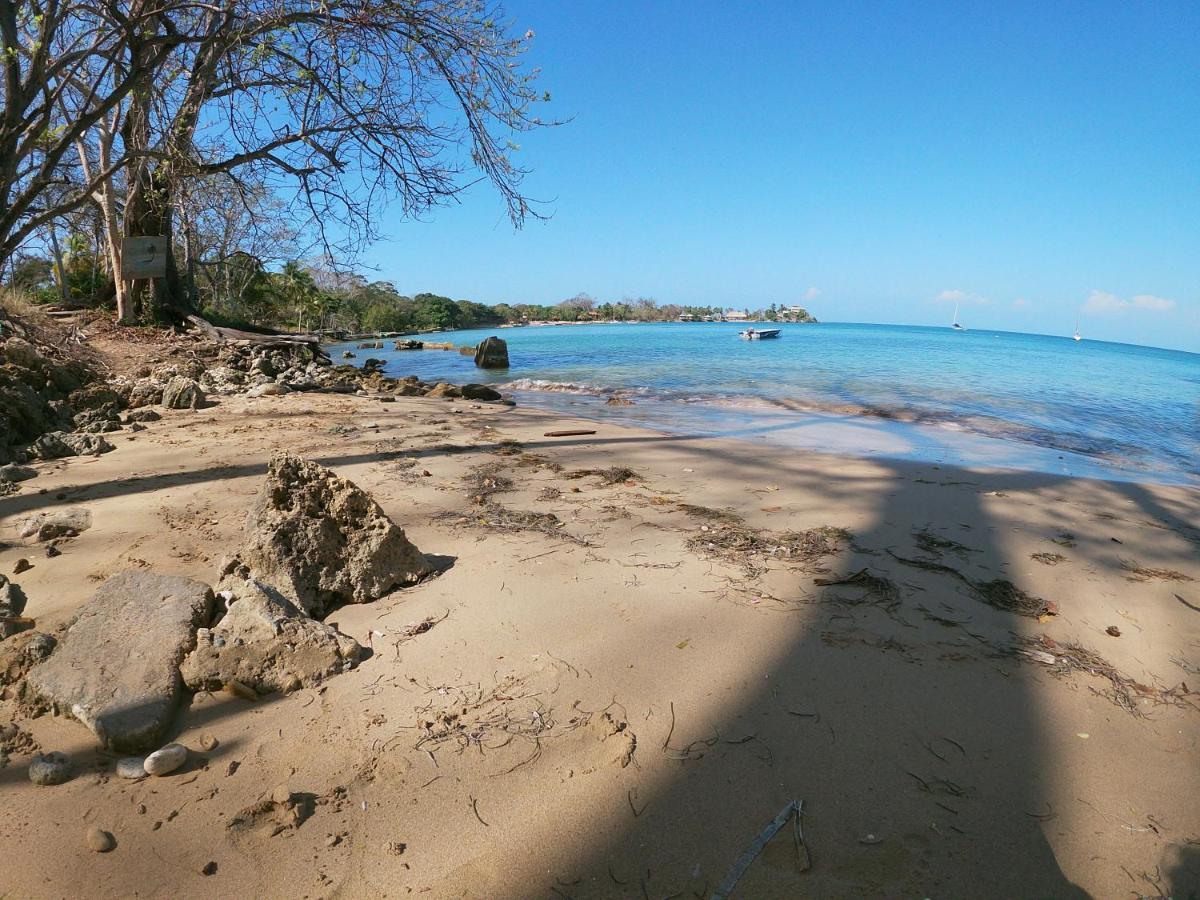 Private Beach House Maloka Surf Puerto Limon Dış mekan fotoğraf
