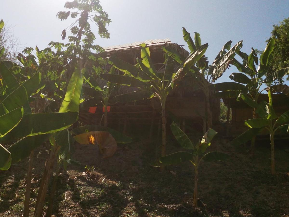 Private Beach House Maloka Surf Puerto Limon Dış mekan fotoğraf